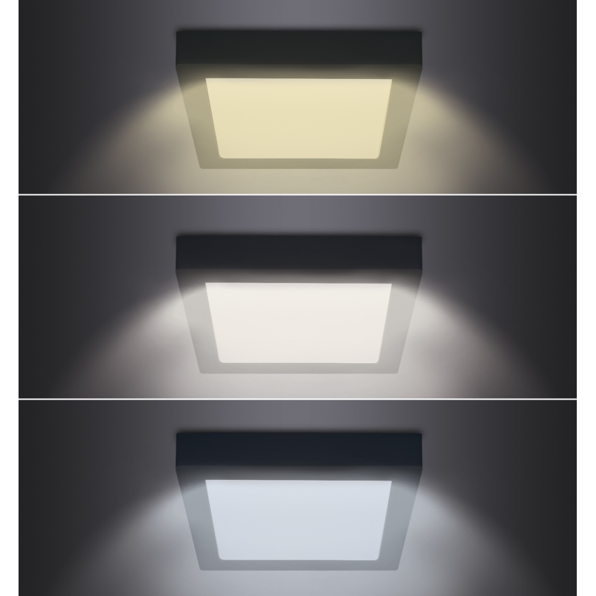 Plafón LED LED/12W/230V 3000/4000/6000K negro angular