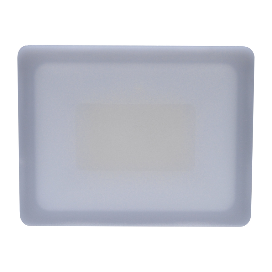 Proyector LED para exteriores LED/30W/230V 4000K IP65