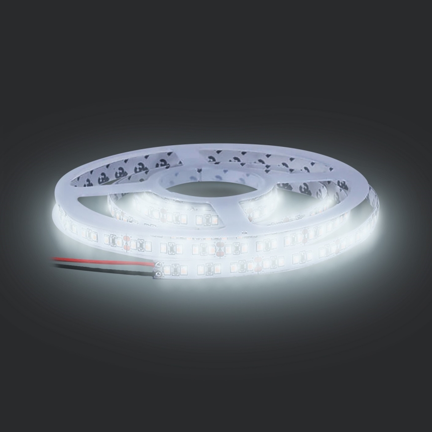 Cinta LED LED/50W/12V 5m blanco frío