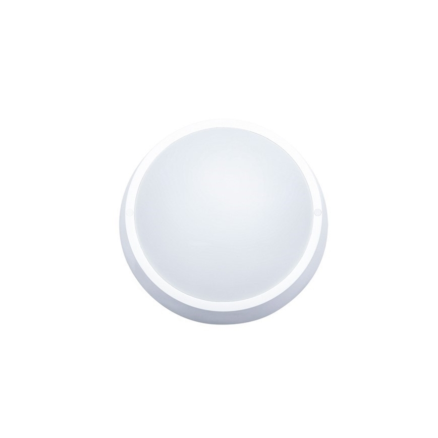 LED Plafón exterior 1xLED/30W/230V  IP65