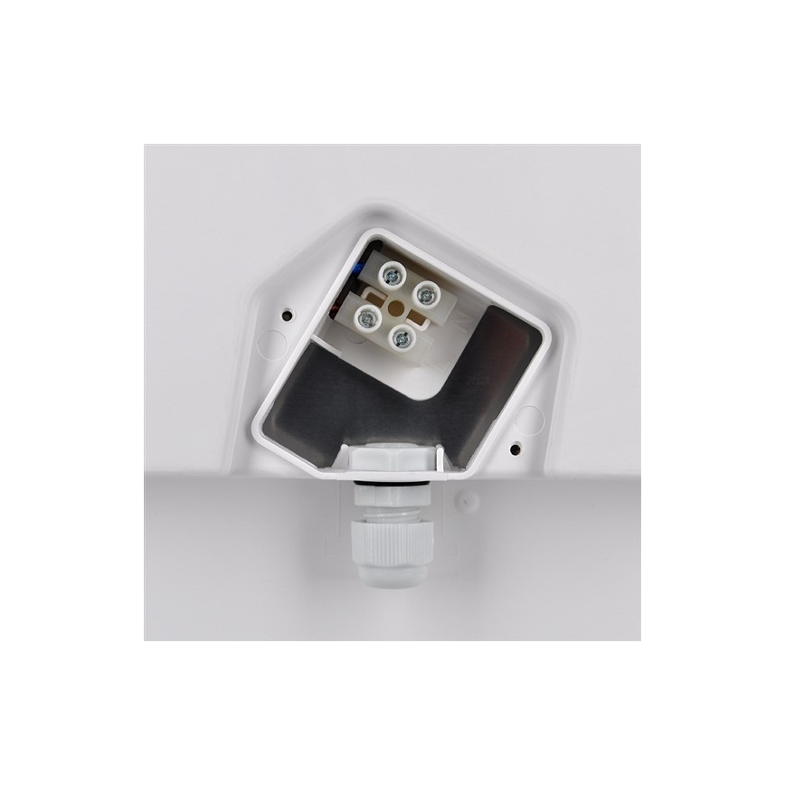 LED Plafón exterior 1xLED/30W/230V  IP65
