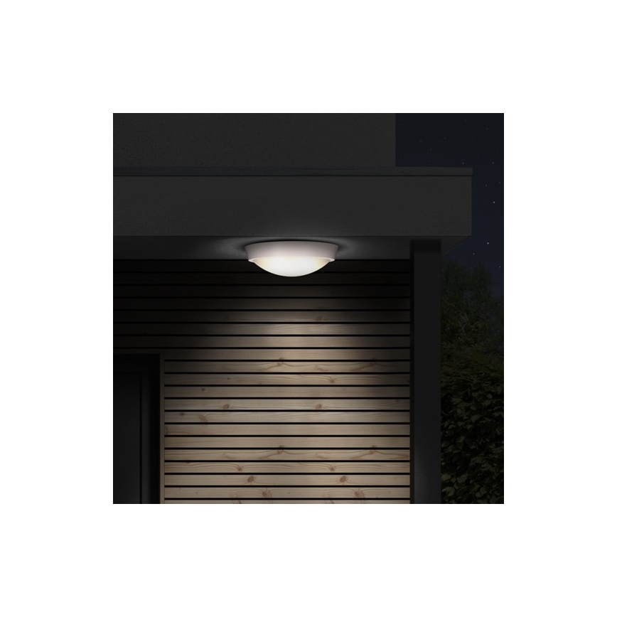 LED Plafón exterior 1xLED/30W/230V  IP65