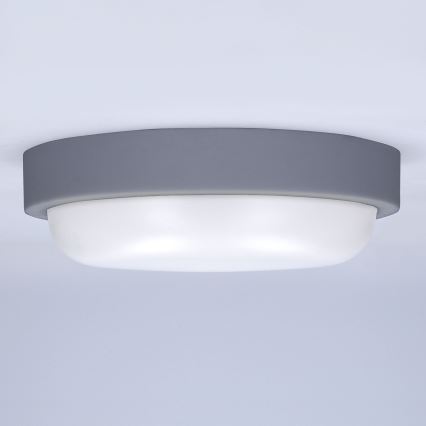 Aplique LED para exterior LED/13W/230V 4000K IP54 gris redondeado