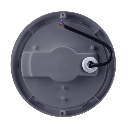 Aplique LED para exterior LED/20W/230V 4000K IP54 gris redondeado