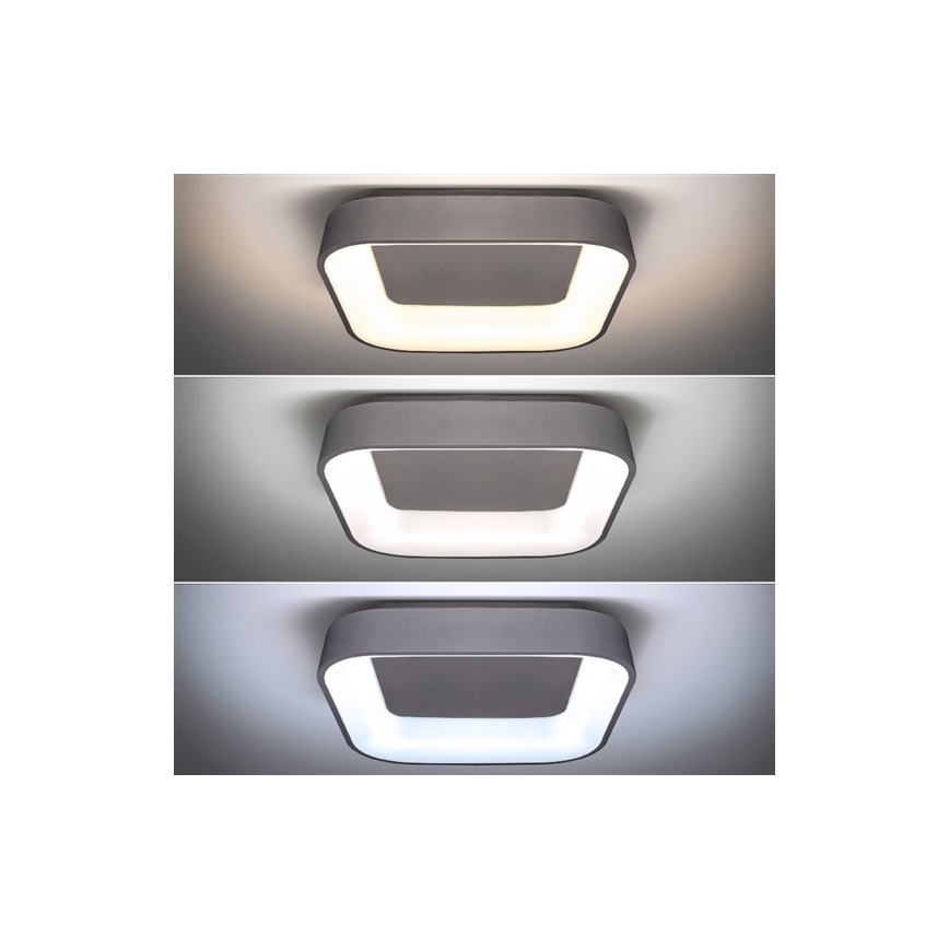 LED Plafón regulable TREVISO LED/48W/230V + CR