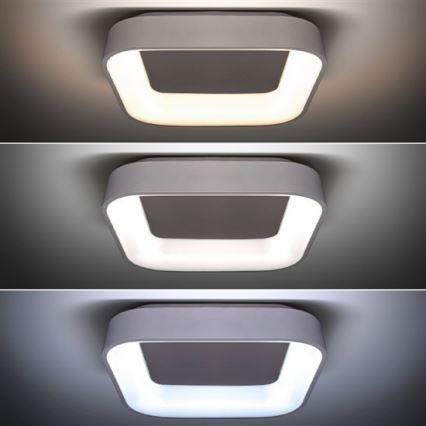 LED Plafón regulable LED/48W/230V + control remoto