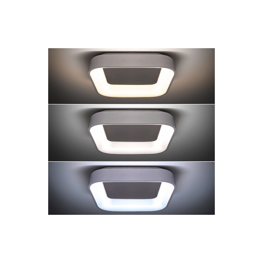 LED Plafón regulable LED/48W/230V + control remoto