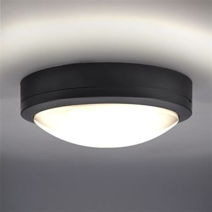 Plafón LED de exterior con sensor SIENA LED/20W/230V 4000K diá. 23 cm IP54