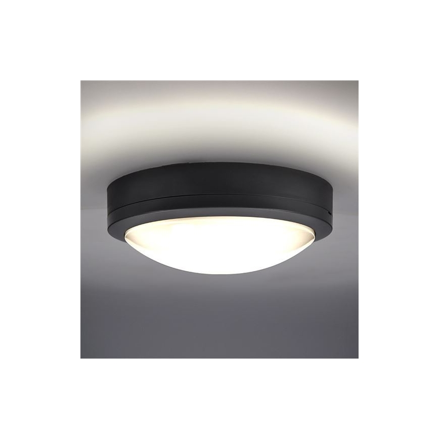 Plafón LED de exterior con sensor SIENA LED/20W/230V 4000K diá. 23 cm IP54