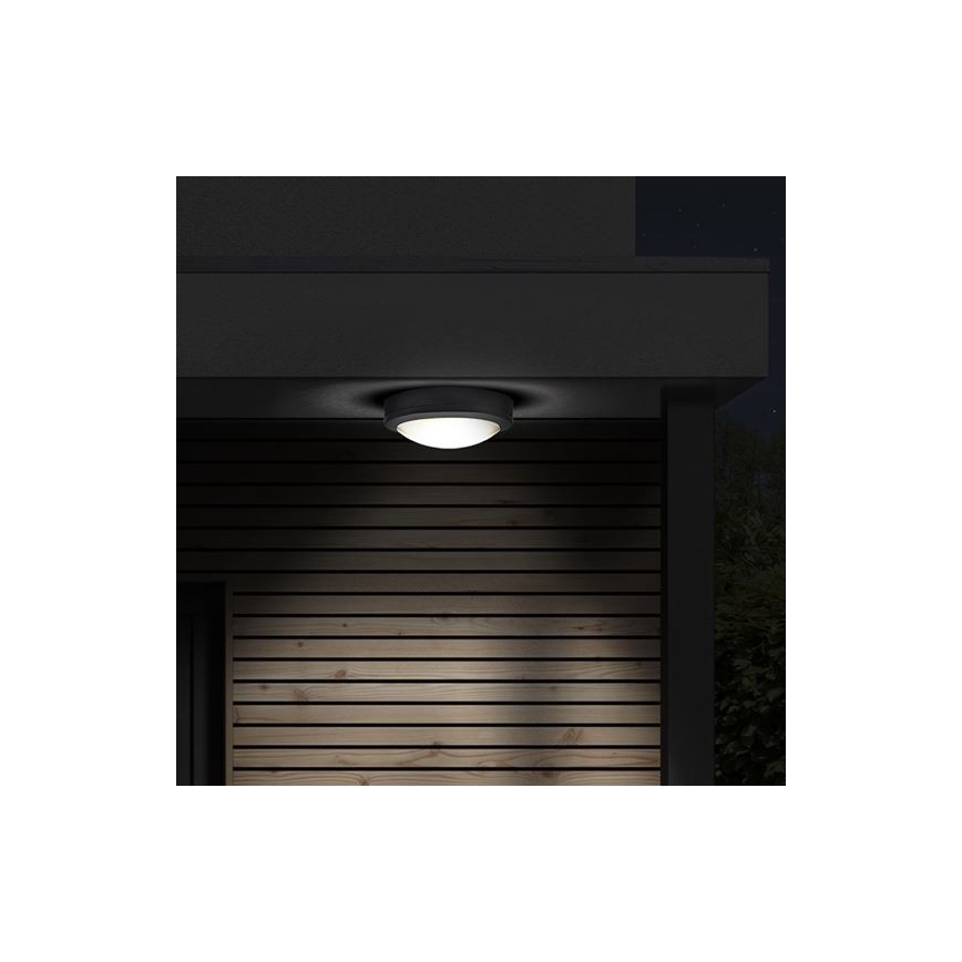 Plafón LED de exterior con sensor SIENA LED/20W/230V 4000K diá. 23 cm IP54
