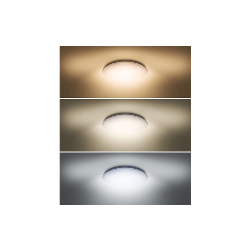Plafón LED PLAIN LED/24W/230V 3000K/4000K/6000K redondo