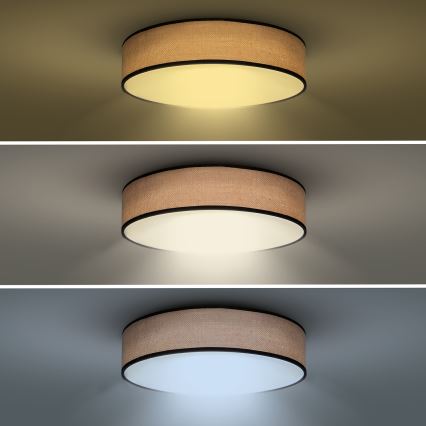 Plafón LED regulable BROWNIE LED/60W/230V 3000-6500K marrón diá. 50 cm + control remoto