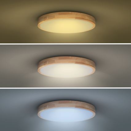 Plafón LED regulable SOLID OAK LED/48W/230V 3000-6500K roble diá. 39 cm + control remoto