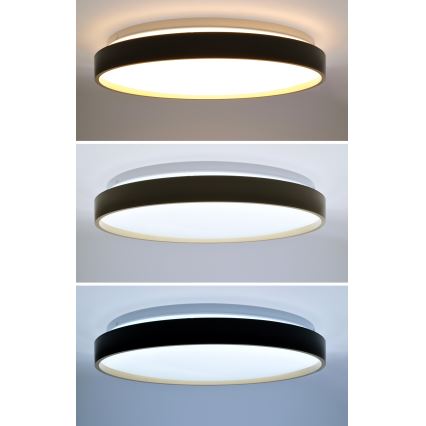 Plafón LED regulable CALA LED/48W/230V 3000-6500K negro/dorado + control remoto