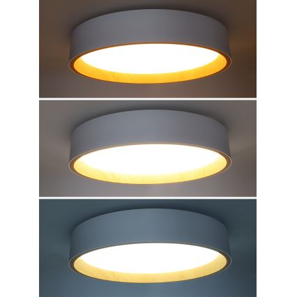 Plafón LED regulable LARIOS LED/48W/230V 3000-6500K diá. 39 cm blanco + control remoto