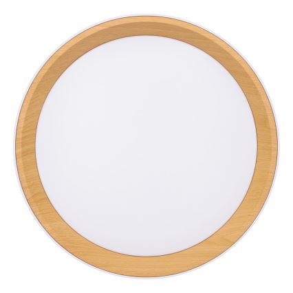 Plafón LED regulable LARIOS LED/48W/230V 3000-6500K diá. 39 cm blanco + control remoto
