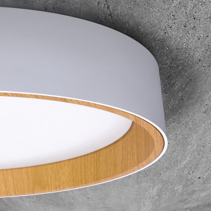 Plafón LED regulable LARIOS LED/48W/230V 3000-6500K diá. 39 cm blanco + control remoto