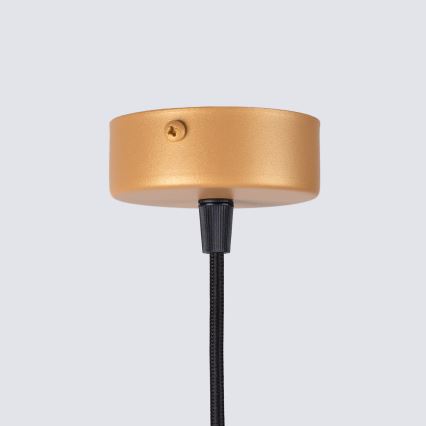 Lámpara colgante ARCHE 1xG9/8W/230V dorado