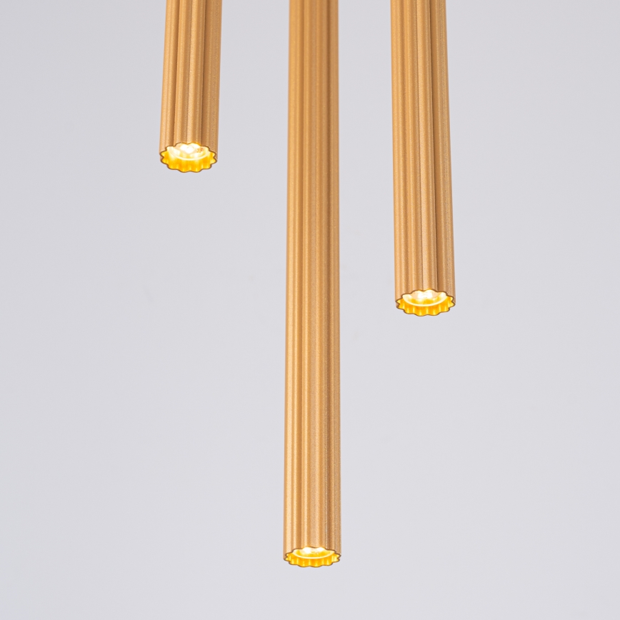 Lámpara colgante ARCHE 3xG9/8W/230V dorado