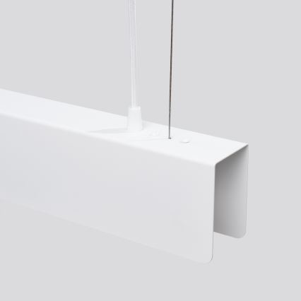 Lámpara LED colgante SPARK 1xG13/8,5W/230V blanco