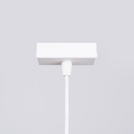 Lámpara LED colgante SPARK 1xG13/8,5W/230V blanco