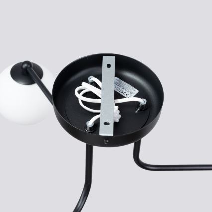Lámpara colgante ASTRAL 3xG9/8W/230V negro