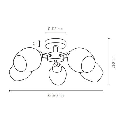 Lámpara de techo PARMA 5xE27/40W/230V roble