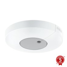 STEINEL 033651 - Sensor crepuscular Light Sensor Dual KNX blanco