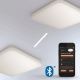 STEINEL 057152 - Lámpara de techo LED con sensor RS PRO LED/16W/230V IP40 4000K