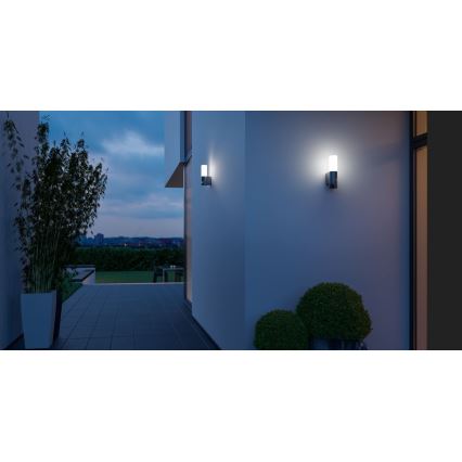 Steinel 065287 - LED Lámpara exterior con sensor L 605 LED/9,5W/230V IP44 antracita