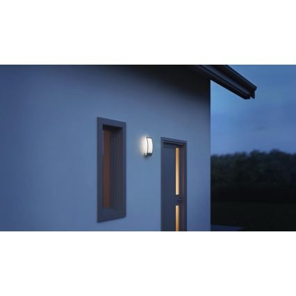 Steinel 069254 - Aplique de exterior L 22 1xE27/60W/230V IP44 antracita