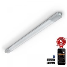Steinel 079178 - Lámpara LED de alta resistencia con sensor RS PRO CONNECT 5100 SL LED/30W/230V IP66