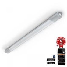 Steinel 079338 - Lámpara LED de alta resistencia con sensor RS PRO 5150 SC 5C LED/42W/230V IP66