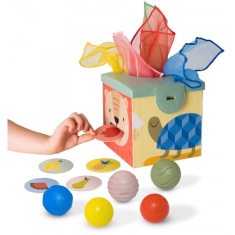 Taf Toys - Caja de juegos interactiva MAGIC BOX