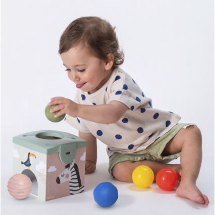 Taf Toys - Caja de juegos interactiva MAGIC BOX