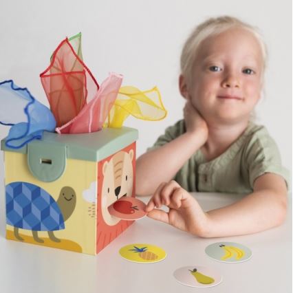 Taf Toys - Caja de juegos interactiva MAGIC BOX