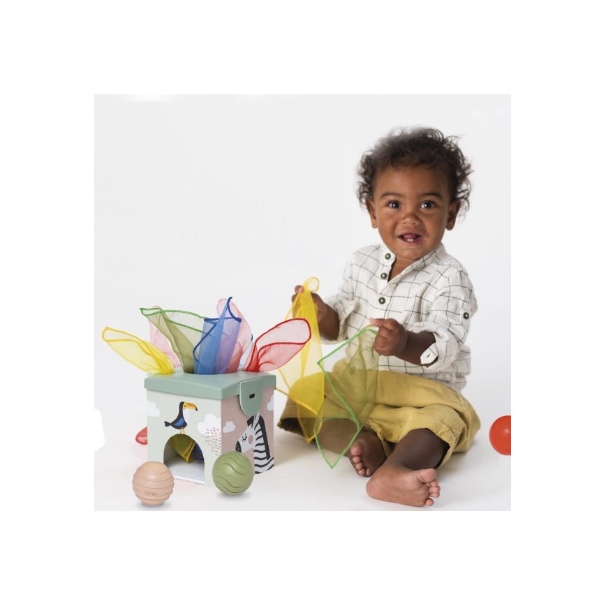Taf Toys - Caja de juegos interactiva MAGIC BOX