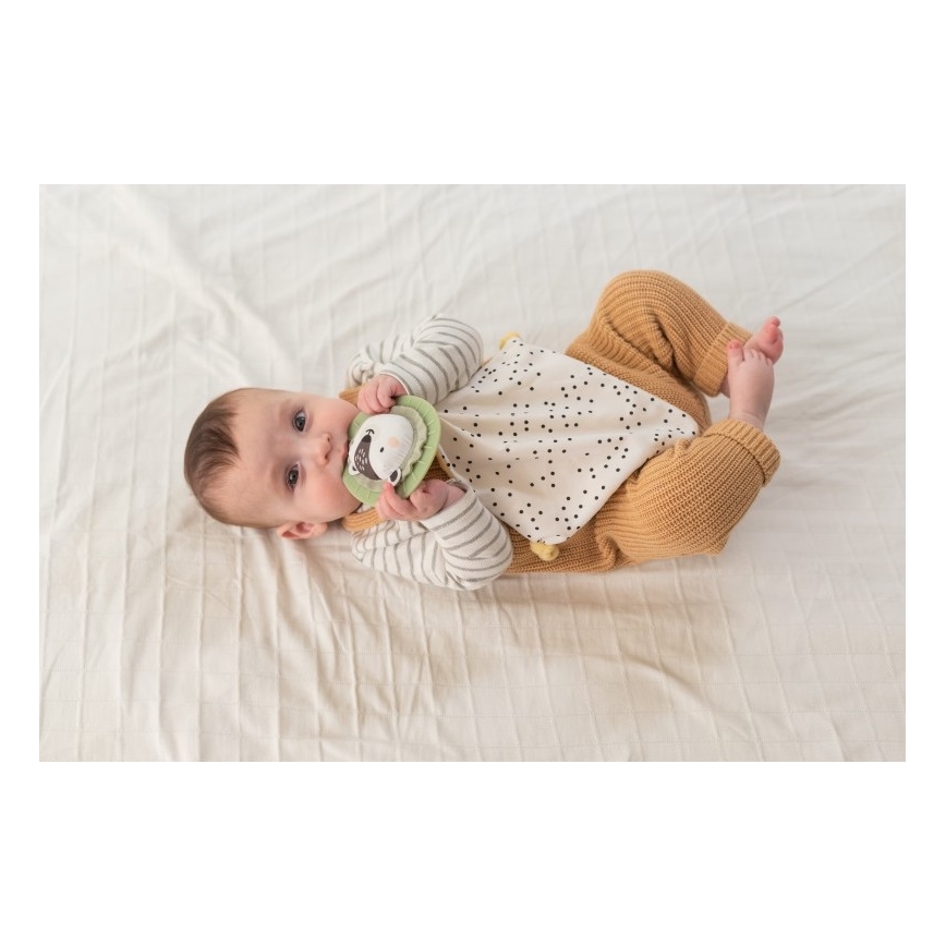 Taf Toys - Caja de regalo HELLO BABY