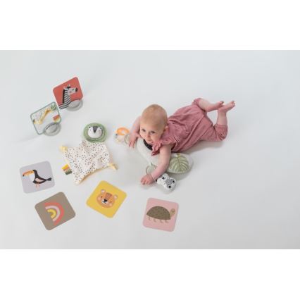 Taf Toys - Caja de regalo HELLO BABY