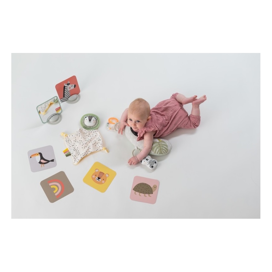 Taf Toys - Caja de regalo HELLO BABY