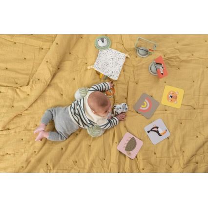 Taf Toys - Caja de regalo HELLO BABY