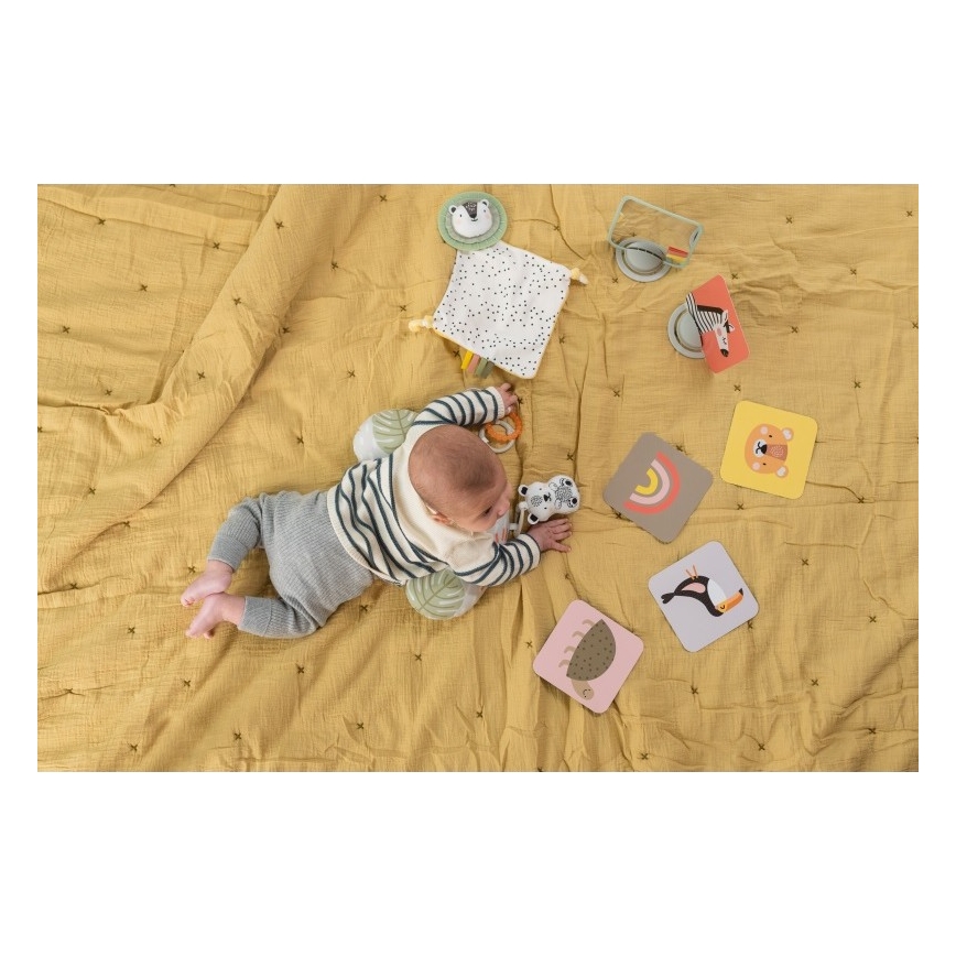 Taf Toys - Caja de regalo HELLO BABY