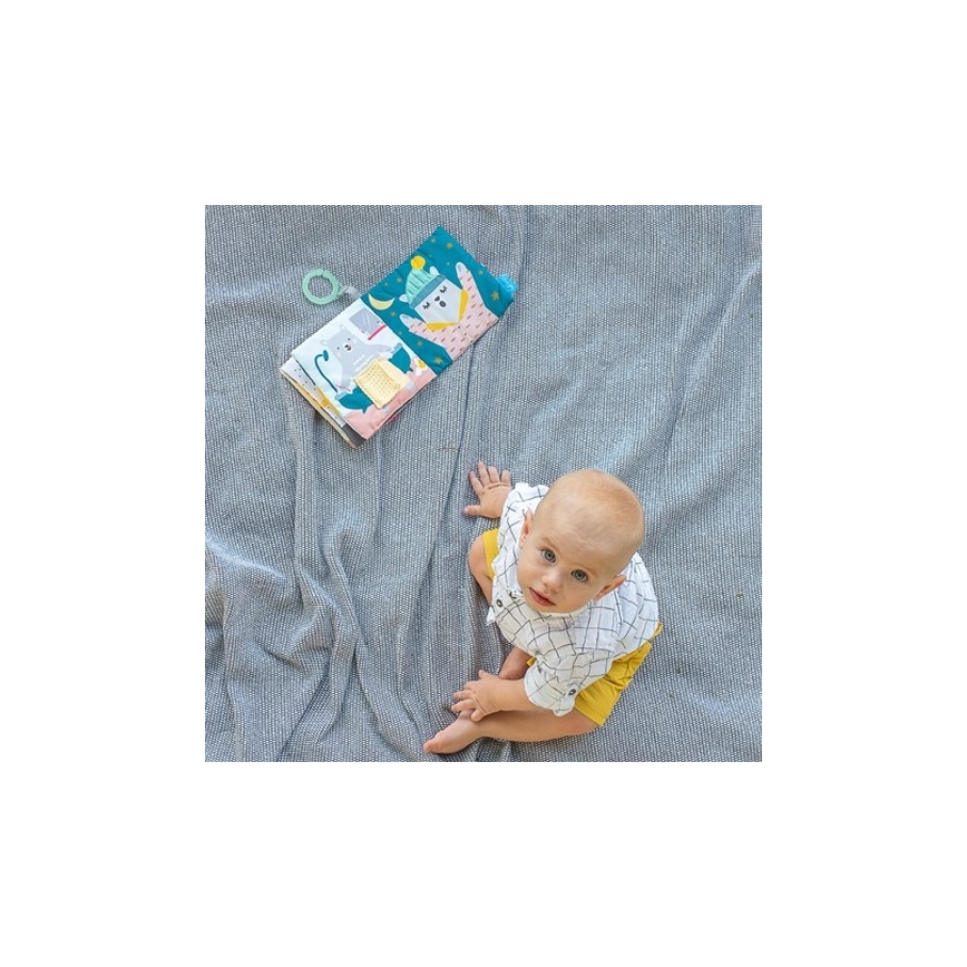Taf Toys - Libro Textil para Bebé Osito de Peluche
