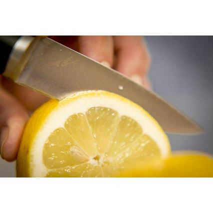 Tefal - Cuchillo de acero inoxidable ICE FORCE 9 cm cromo brillante/negro