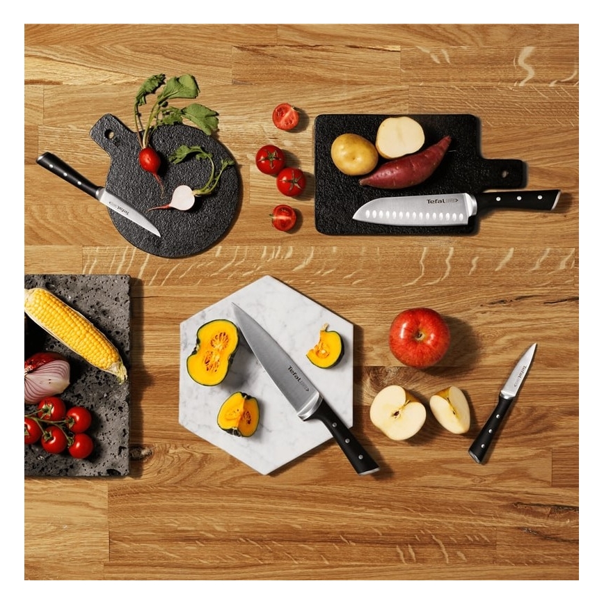 Tefal - Juego de cuchillos de cocina en soporte ICE FORCE 6 pz