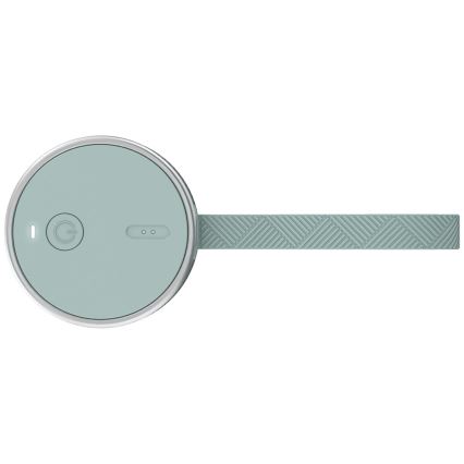 Tefal - Licuadora para batidos BLENDFORCE 50W/5V 1200 mAh menta