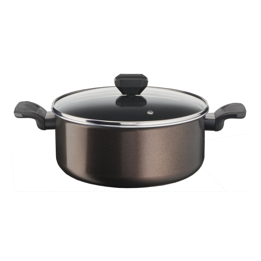 Tefal - Olla con tapa EASY COOK&CLEAN 24 cm