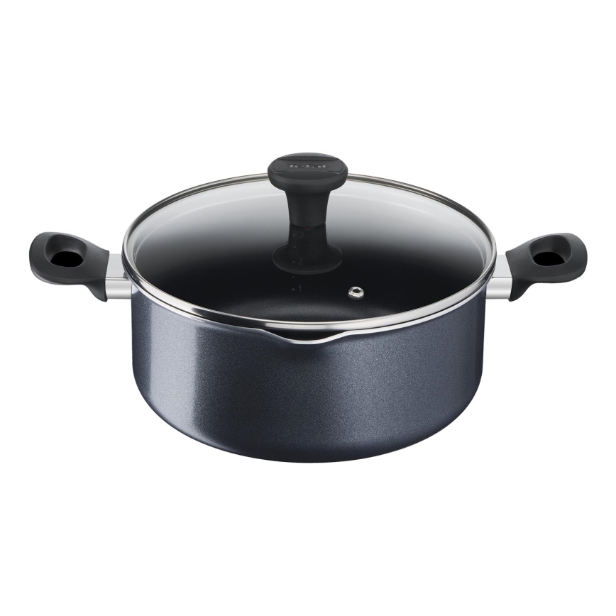 Tefal - Olla con tapa FAMILY DAY 24 cm