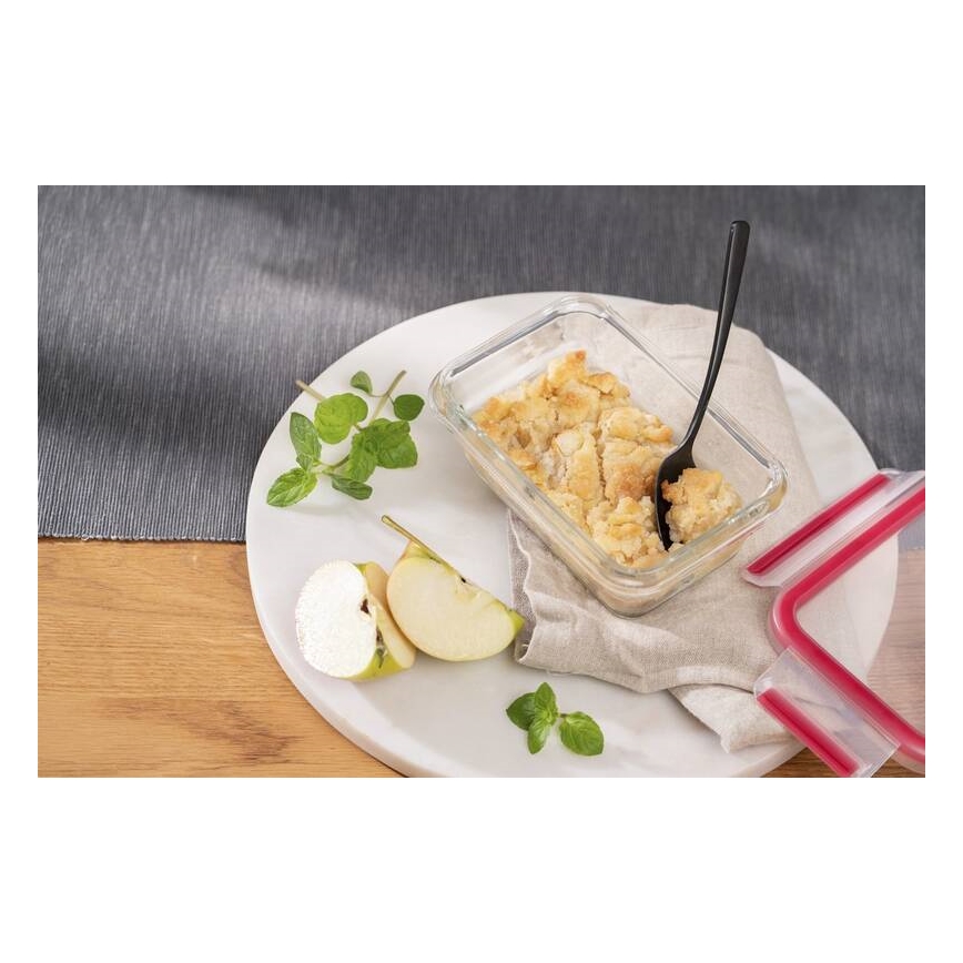 Tefal - Recipiente de comida 0,45 l MSEAL GLASS rojo/tarros