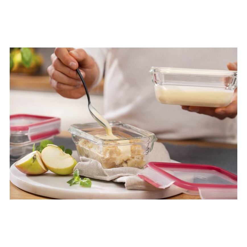 Tefal - Recipiente de comida 0,45 l MSEAL GLASS rojo/tarros